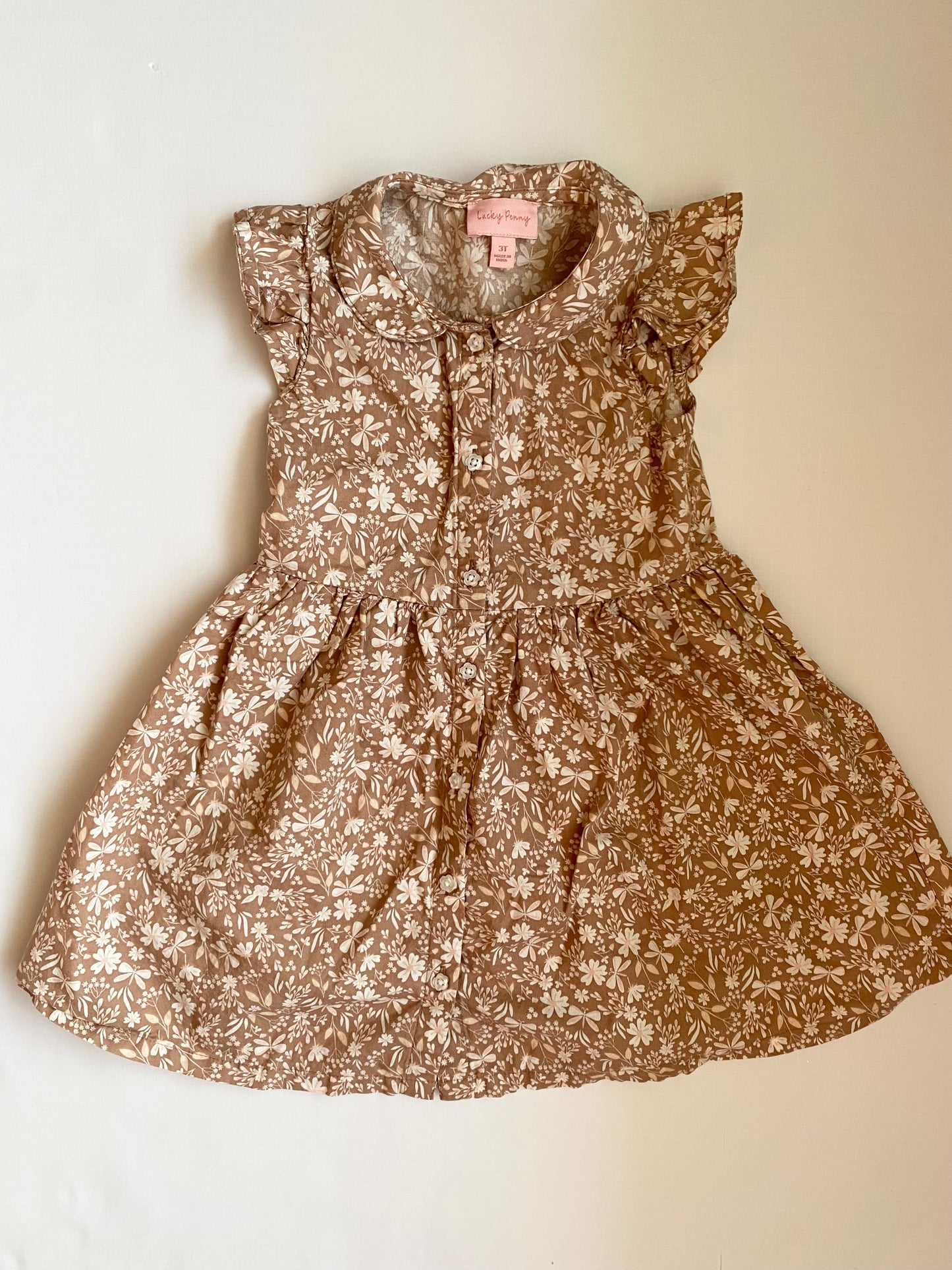 Lucky Penny Dress 3T