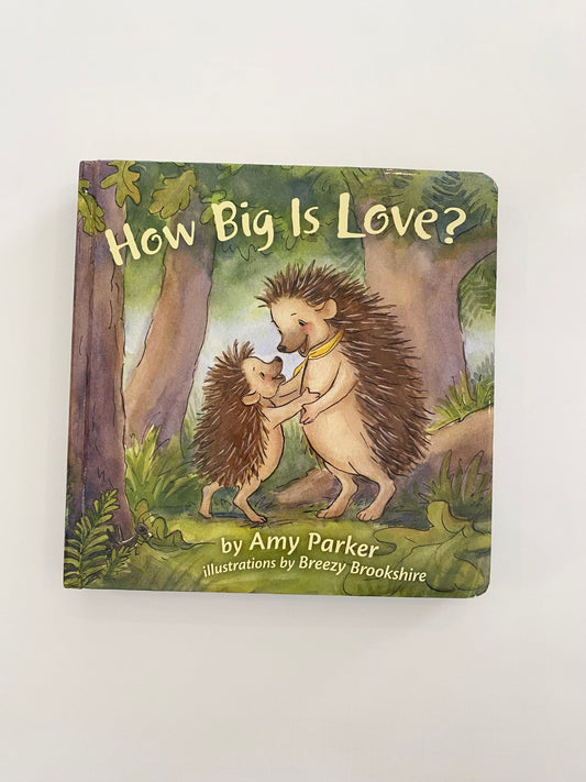 How Big Is Love Book