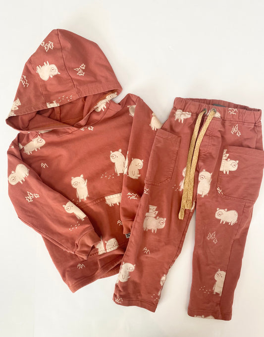 Souris Mini Pig Set 2-3 Years